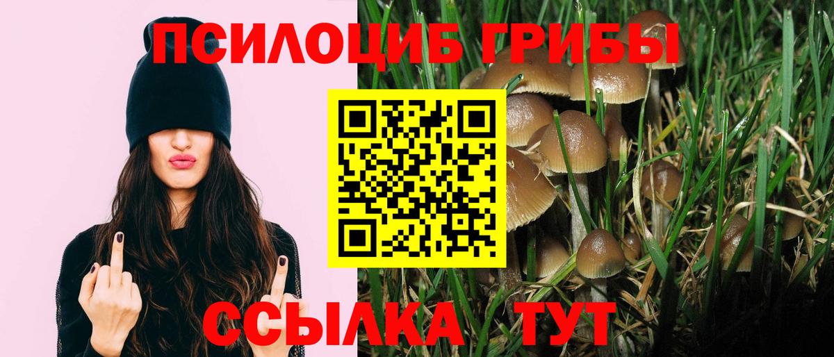 Псилоцибиновые грибы Psilocybe  Вход с VPN  Усть-Джегута  Псилоцибиновые грибы Psilocybine cubensis 