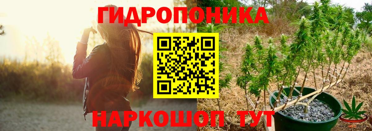 Шишки марихуана марихуана  Конопля планчик  Вход с VPN  Шишки марихуана тримм  Усть-Джегута  Бошки Шишки тримм 